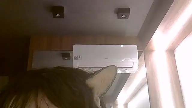 عرض كام SkinnyKitten