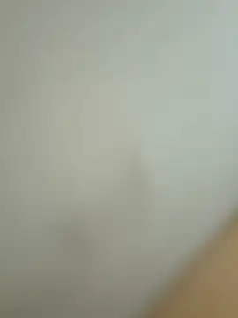 agneswithloove 现场XXX聊天