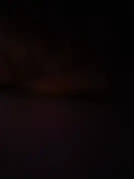 cusicat webcam show