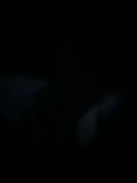 Brunocrvg2002n Webbikameraesitys