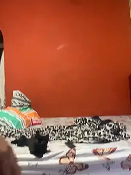 maxI_dick33 élő XXX-chatje