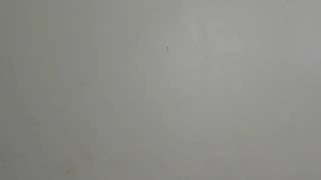 sluttylaura21 Live XXX-chat