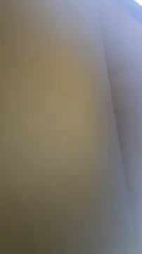 Shsaaeq XXX чат на живо