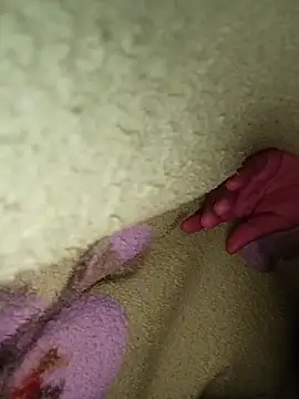 tontommmn Webbikameraesitys