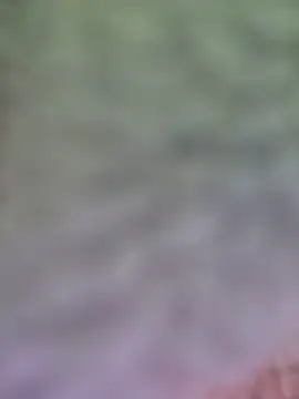 CuteSarikaLIVE 现场XXX聊天