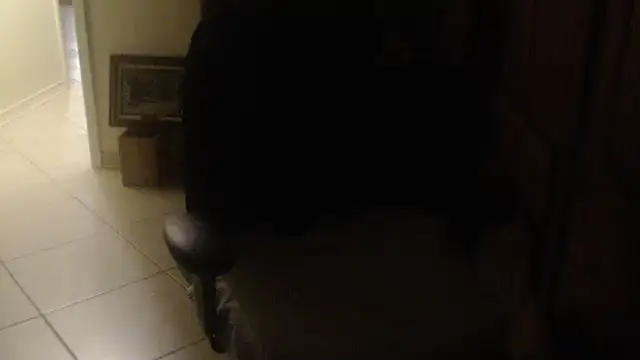 Show webcam de joeydee1