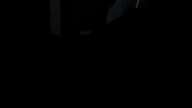 Silencio26 Live XXX-Chat