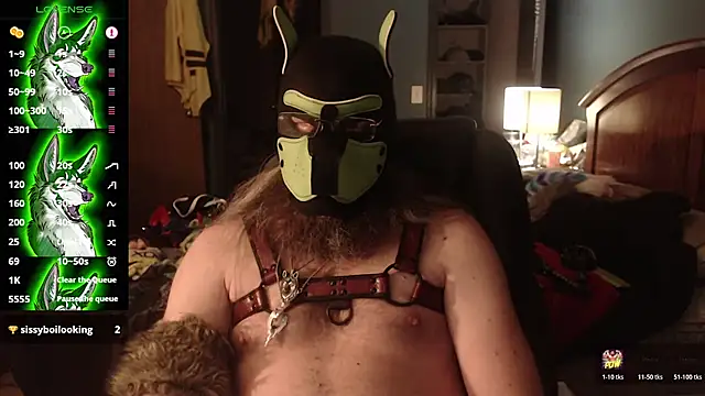 kinkywolf429 live XXX chat
