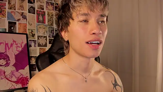Show webcam de liamelf