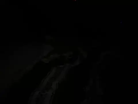 NewPathways4 Webcam-Show