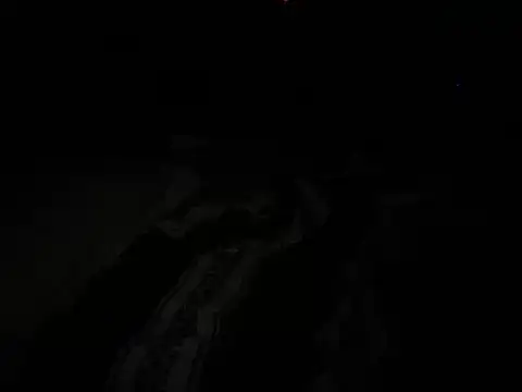 NewPathways4 在線直播表演