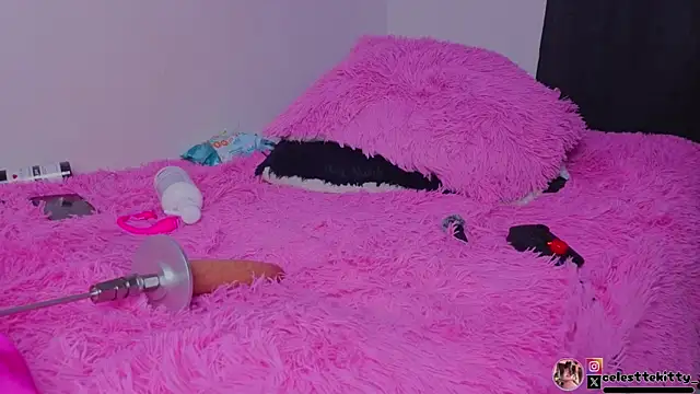 Chat XXX Live celestte_evans_1