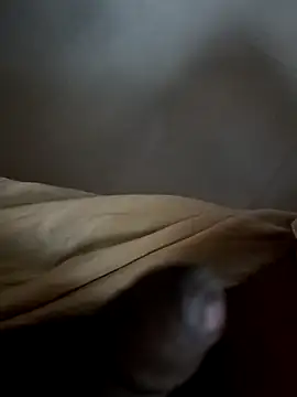 malluflashのウェブカメラショー