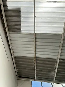 Kitty_Melodi: απευθείας συνομιλία ΧΧΧ