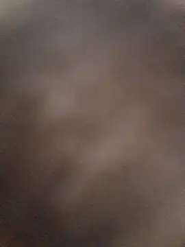 Show Webcam de Chinfong255