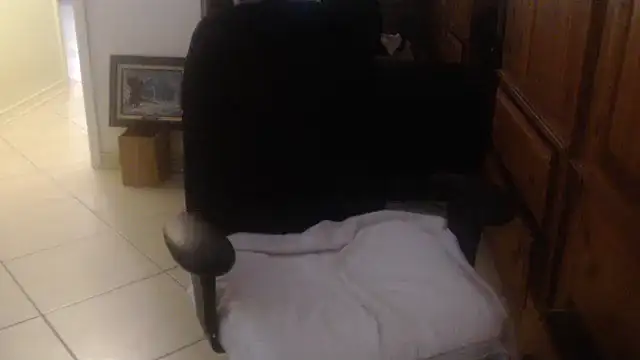 joeydee1: διαδικτυακό σόου στην κάμερα