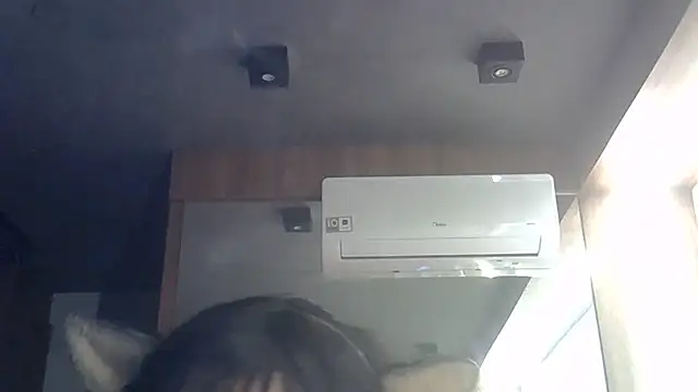 Show de webcam de SkinnyKitten