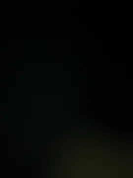 عرض كام Slvbot202