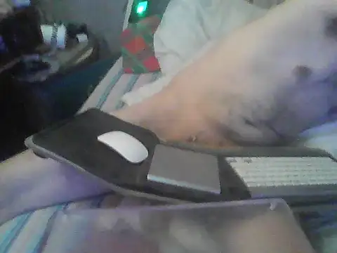 PenerPanShibari's Live XXX Chat
