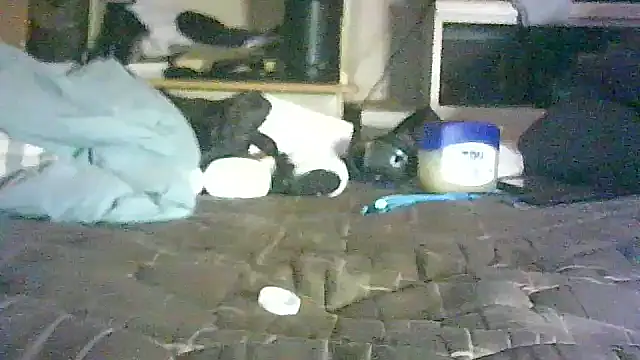_P3RKY_IMMORTAL3_FIR3_ Live XXX-Chat