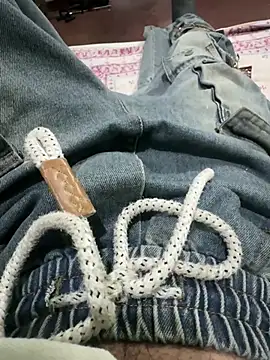 Big_dick_dog 网络视讯表演