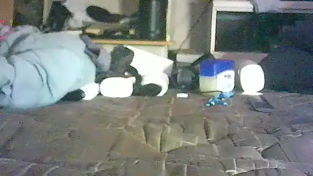 _P3RKY_IMMORTAL3_FIR3_ live XXX chat