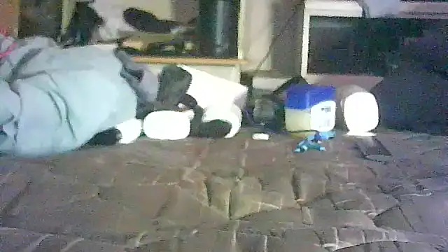 _P3RKY_IMMORTAL3_FIR3_ live XXX chat