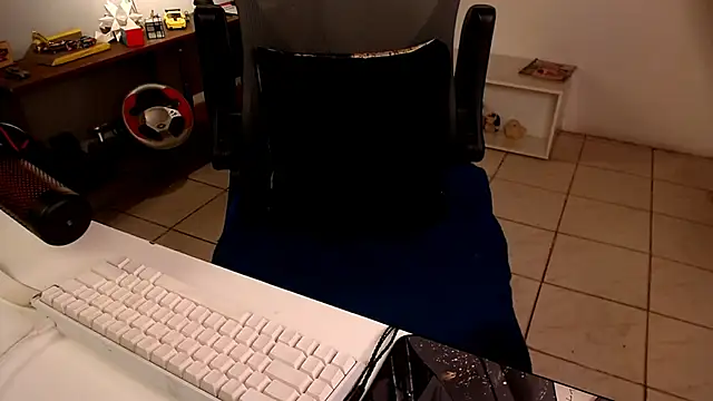Pertunjukan Kamera Web Thieves9
