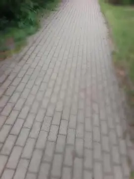 PublicMarekFlashDick – Kamerová šou