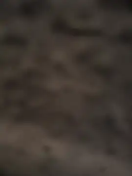 fontasm ওয়েবক্যাম শো