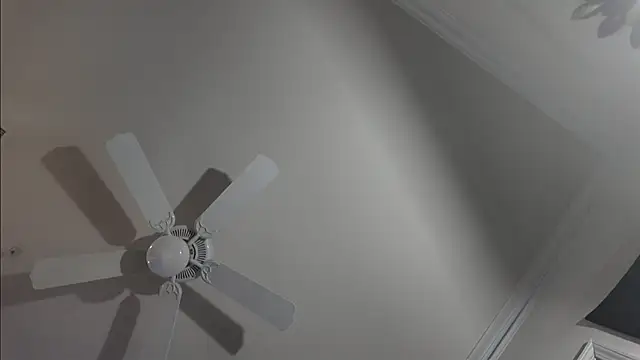 Triggerhappycj100 Obrolan Langsung XXX