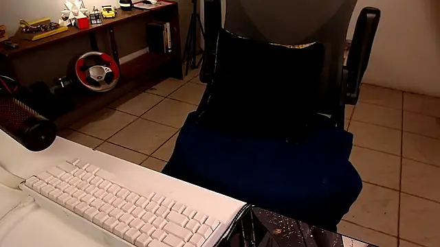 Show webcam de Thieves9