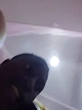 KKlause Webcam Show
