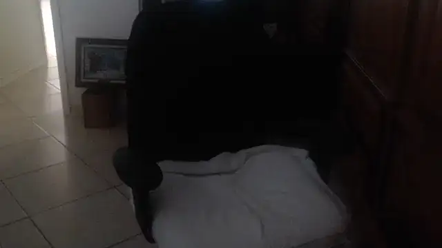 Czat XXX na żywo – joeydee1