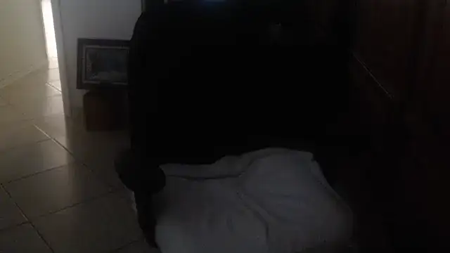 joeydee1n Live XXX chat