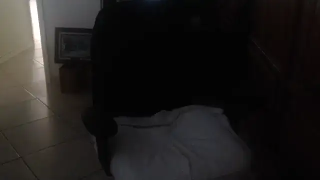 צ'אט XXX בשידור חי של joeydee1