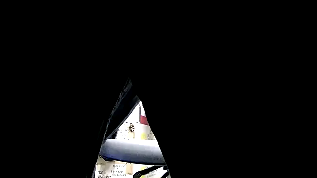 Czat XXX na żywo – BustedCall