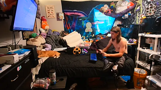 Show Webcam de CyberStallion
