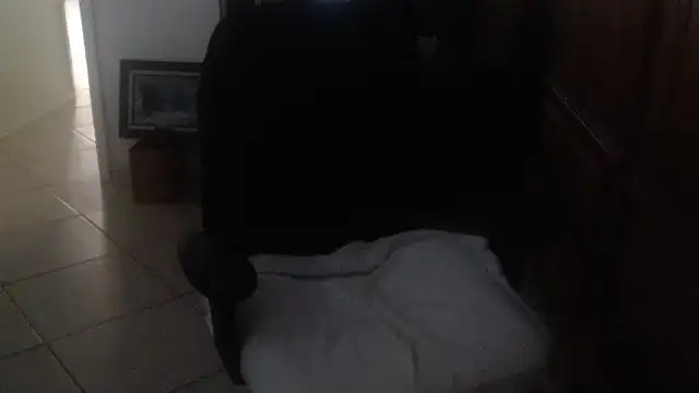 Czat XXX na żywo – joeydee1