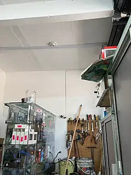 Paul22cm- Adlı Modelin Canlı XXX Sohbeti