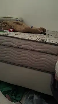 Alemaoccssabe live XXX chat