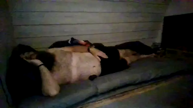 Živý XXX chat ThisGuy42o