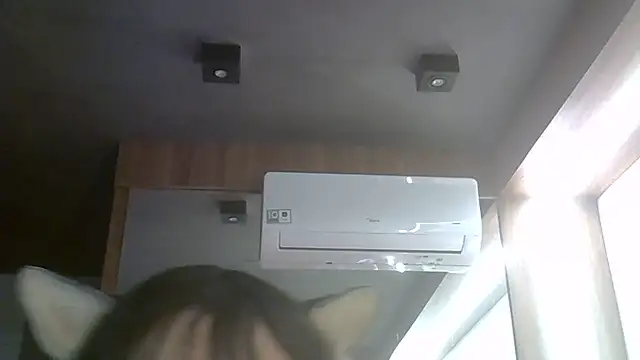 Chat XXX Live SkinnyKitten
