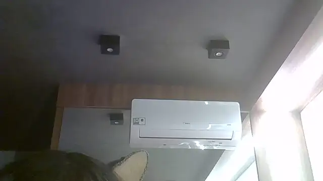 Show de webcam de SkinnyKitten