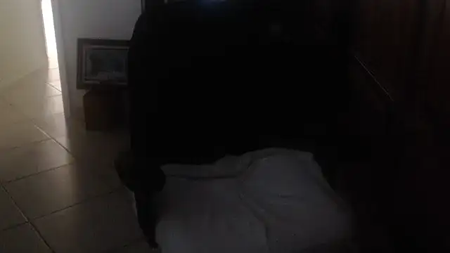 צ'אט XXX בשידור חי של joeydee1