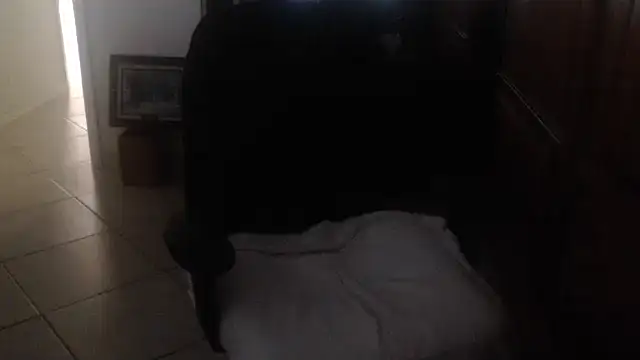 Chat XXX en directo de joeydee1
