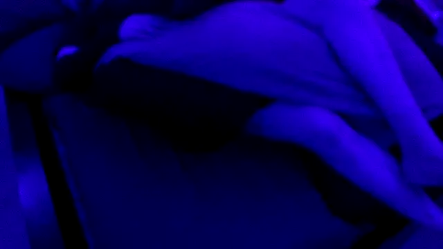 Time2playN303party Live XXX-chat