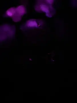 Chat XXX Live freedom_desk