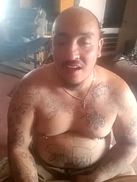Dick4yourholes webkamerás műsora