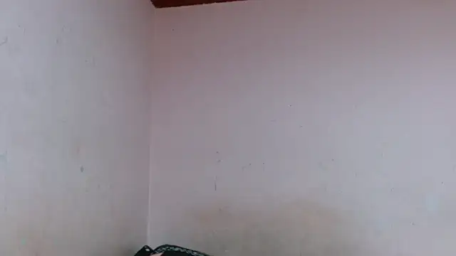 Taylorveraaa 라이브 XXX 채팅